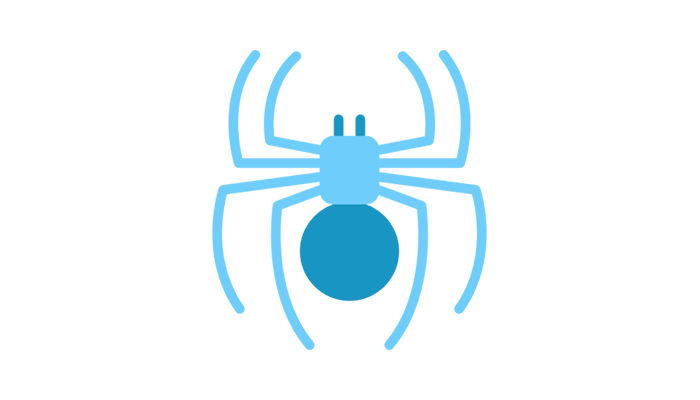 Spider